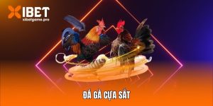 Đá gà cựa sắt