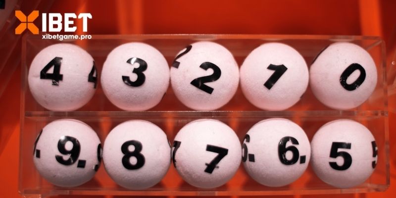 Lợi nhuận cực khủng từ lô